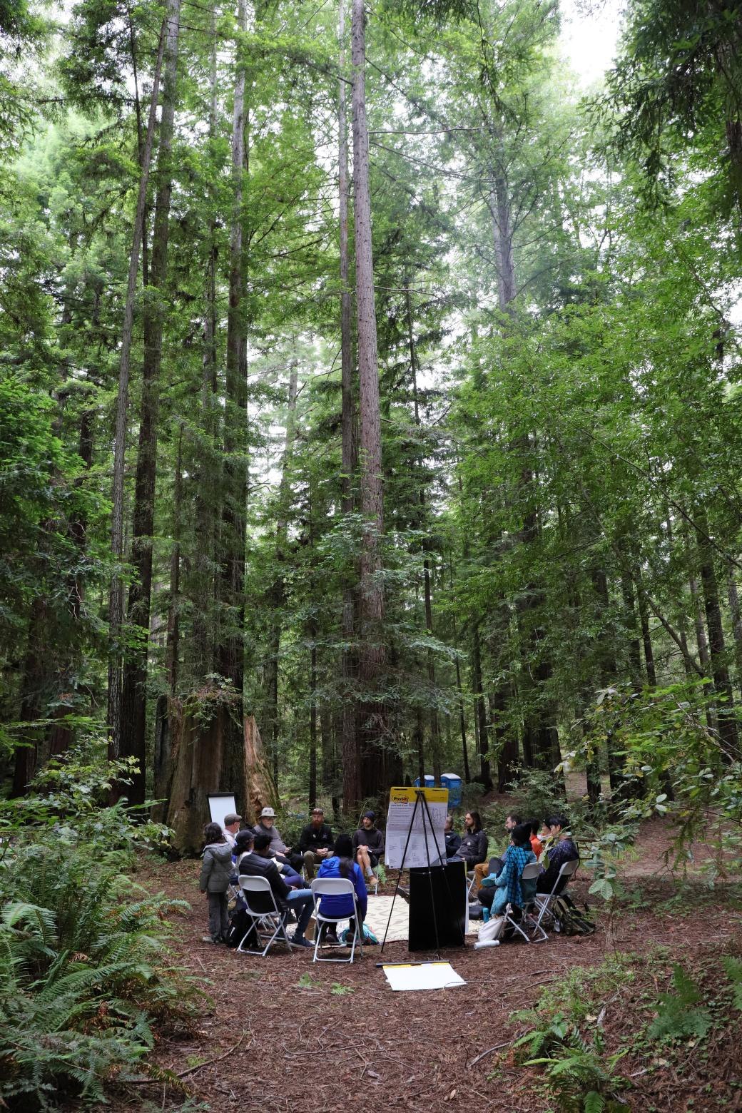 Workshop circle gathered in a forest